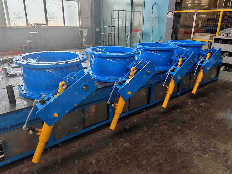 china check valve