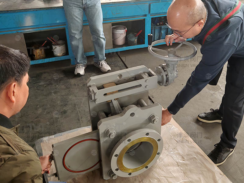 line blind valve