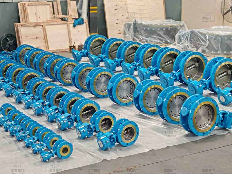 eccentric butterfly valve