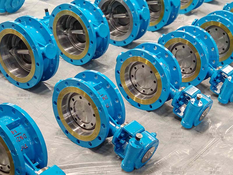 eccentric butterfly valve