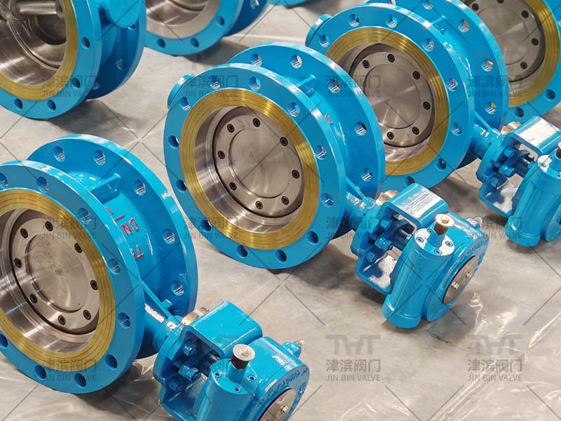 eccentric butterfly valve