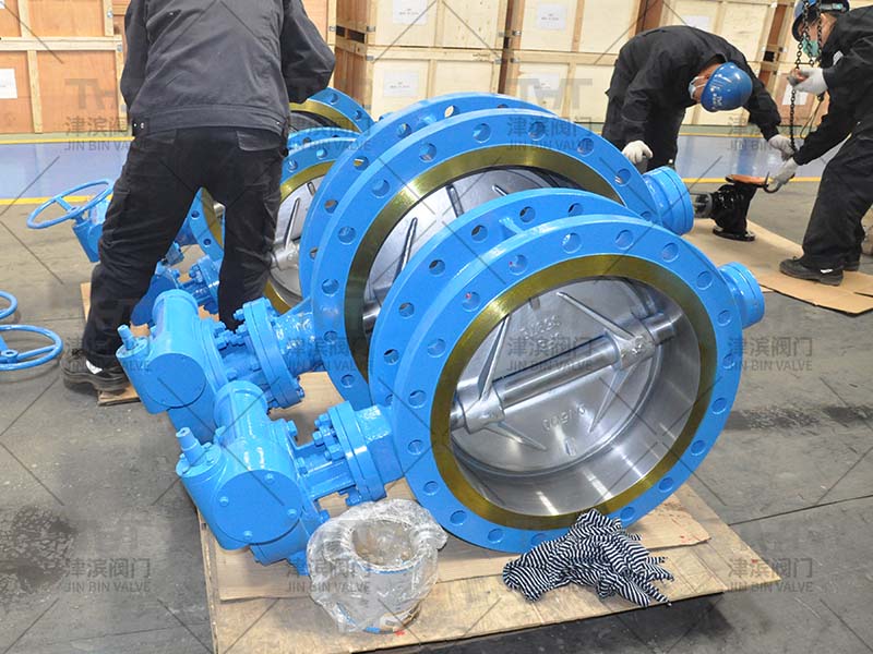 eccentric butterfly valve