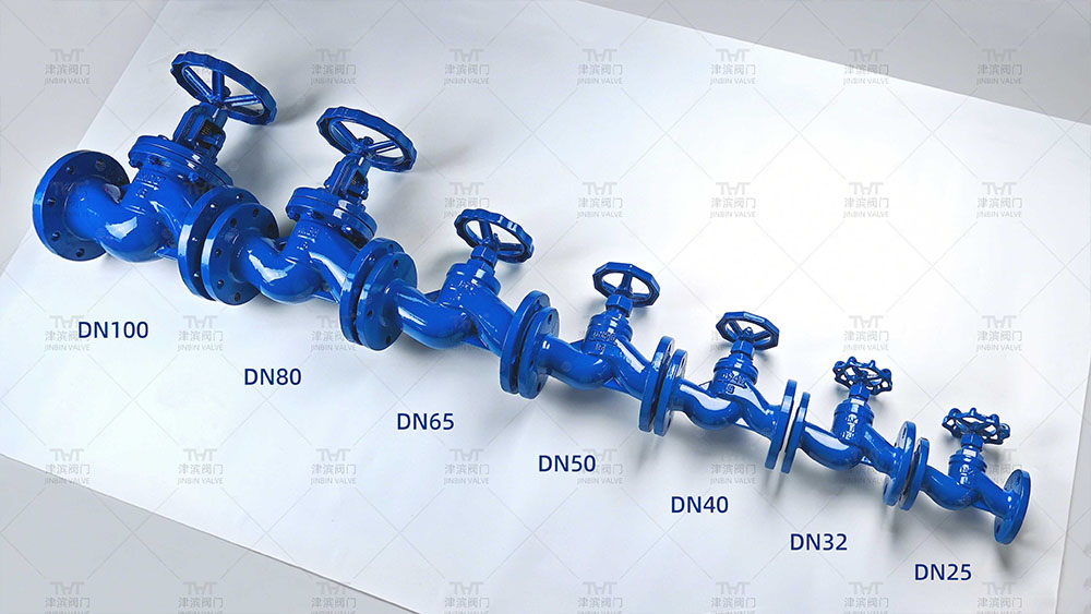 2 Inch globe valve