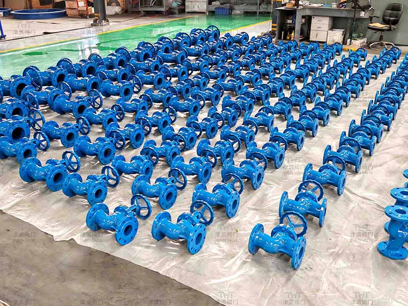 globe valve