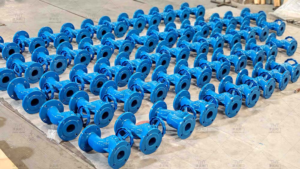 globe control valve