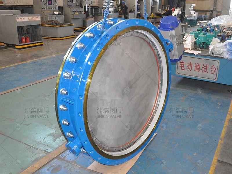 eccentric butterfly valve