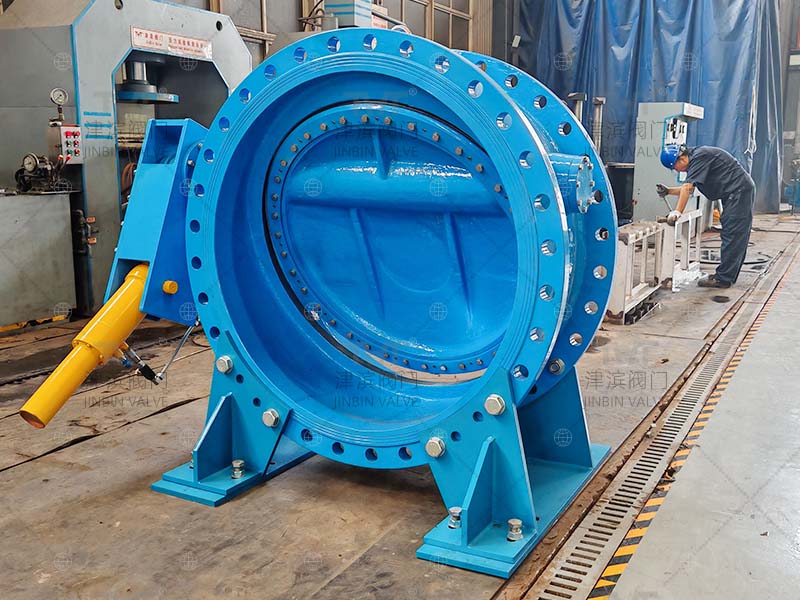 butterfly check valve