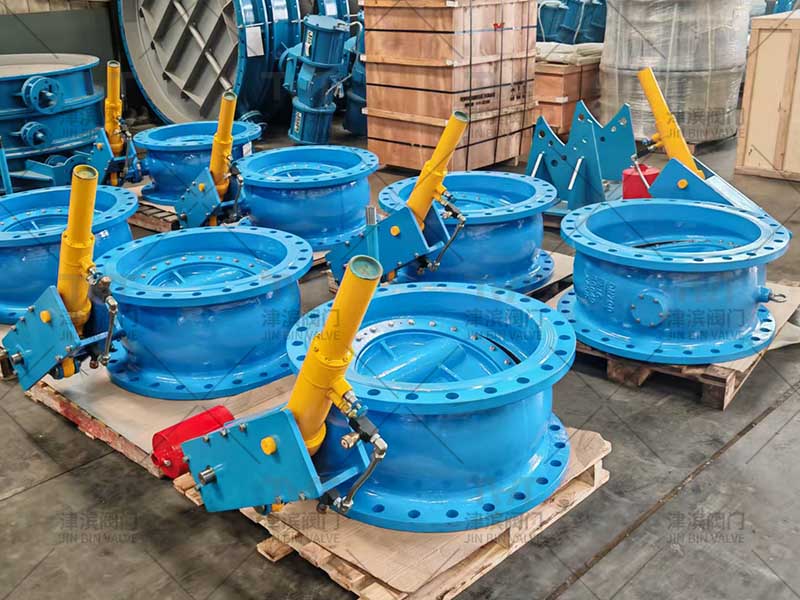 flanged check valve