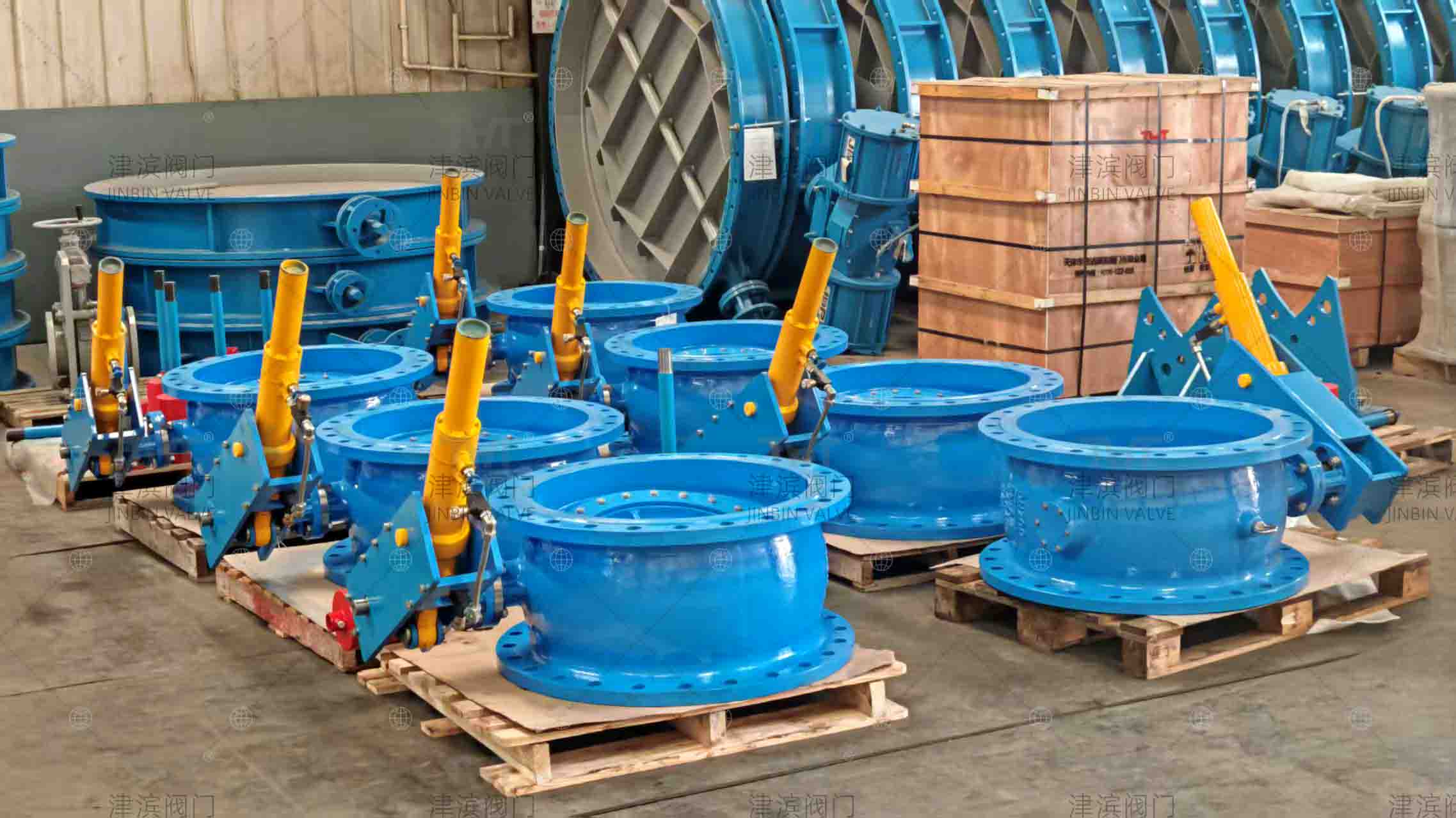 butterfly check valve