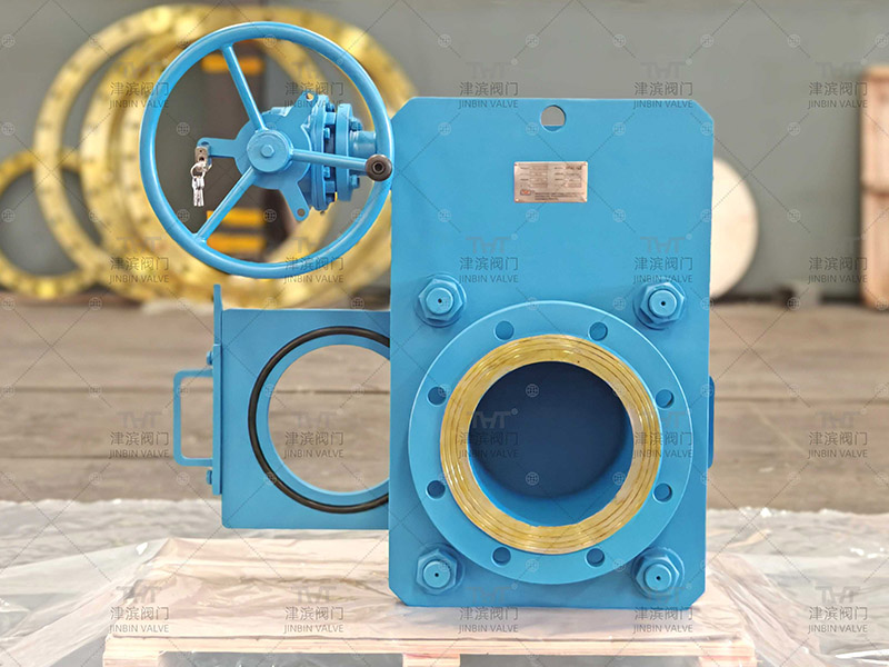 goggle valve