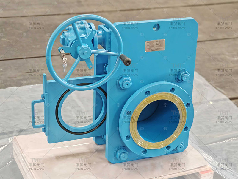 goggle valve