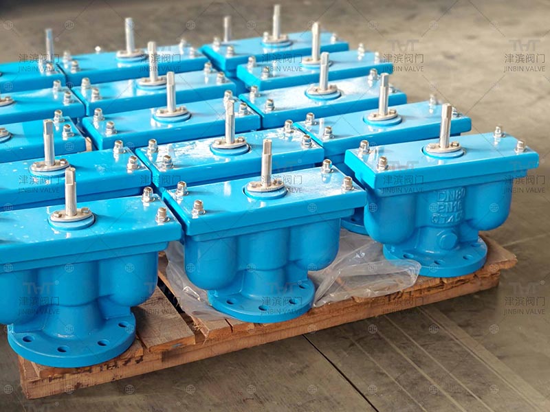 check valve check valve