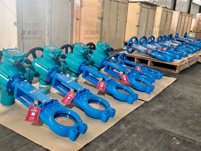 electric knife gate valves