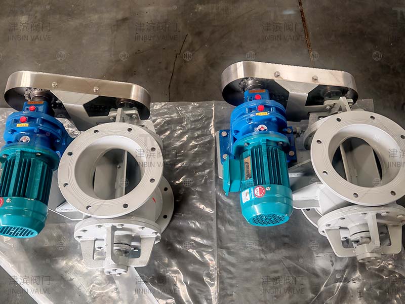 Rotary discharge valve