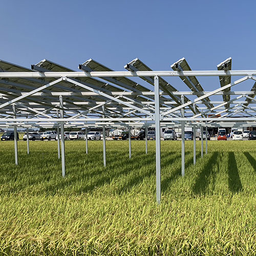 Montaggio di pannelli solari per l'agricoltura solare