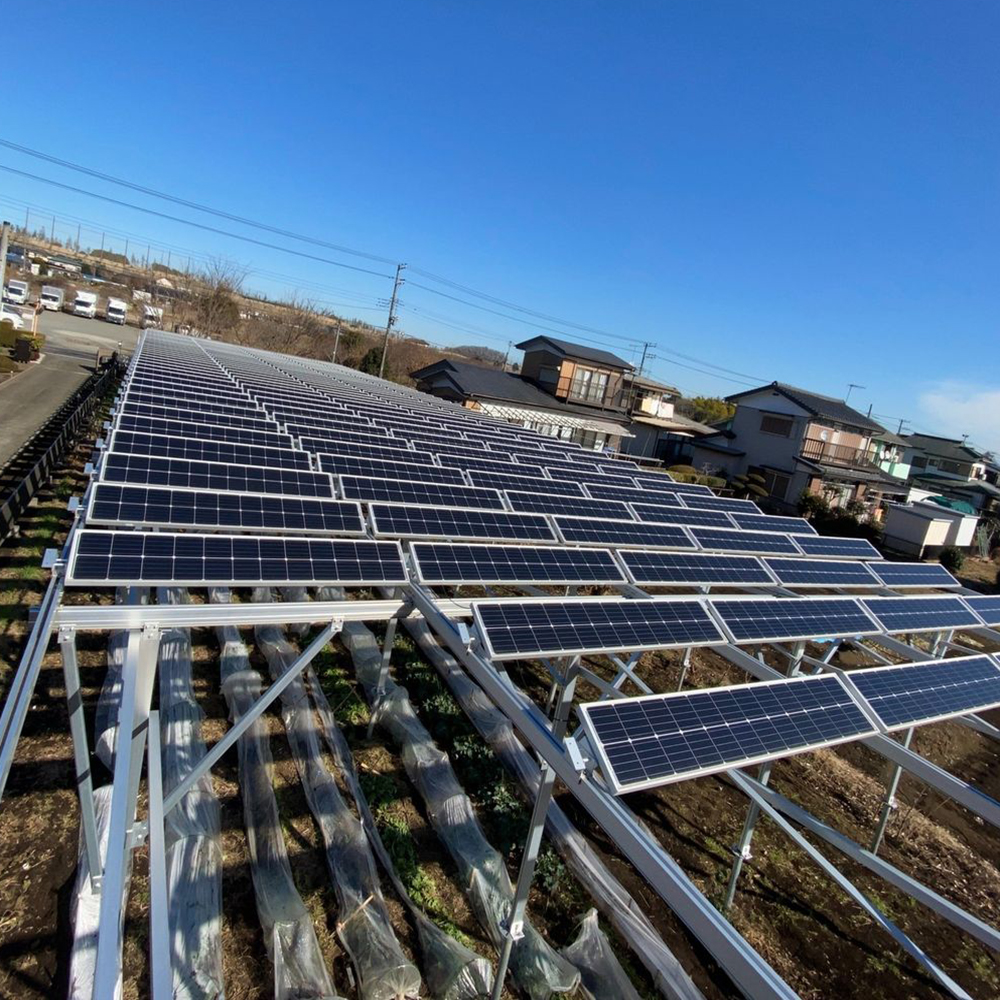 Comprar instalación de construcción de granja solar a bajo precio, instalación de construcción de granja solar a bajo precio Precios, instalación de construcción de granja solar a bajo precio Marcas, instalación de construcción de granja solar a bajo precio Fabricante, instalación de construcción de granja solar a bajo precio Citas, instalación de construcción de granja solar a bajo precio Empresa.