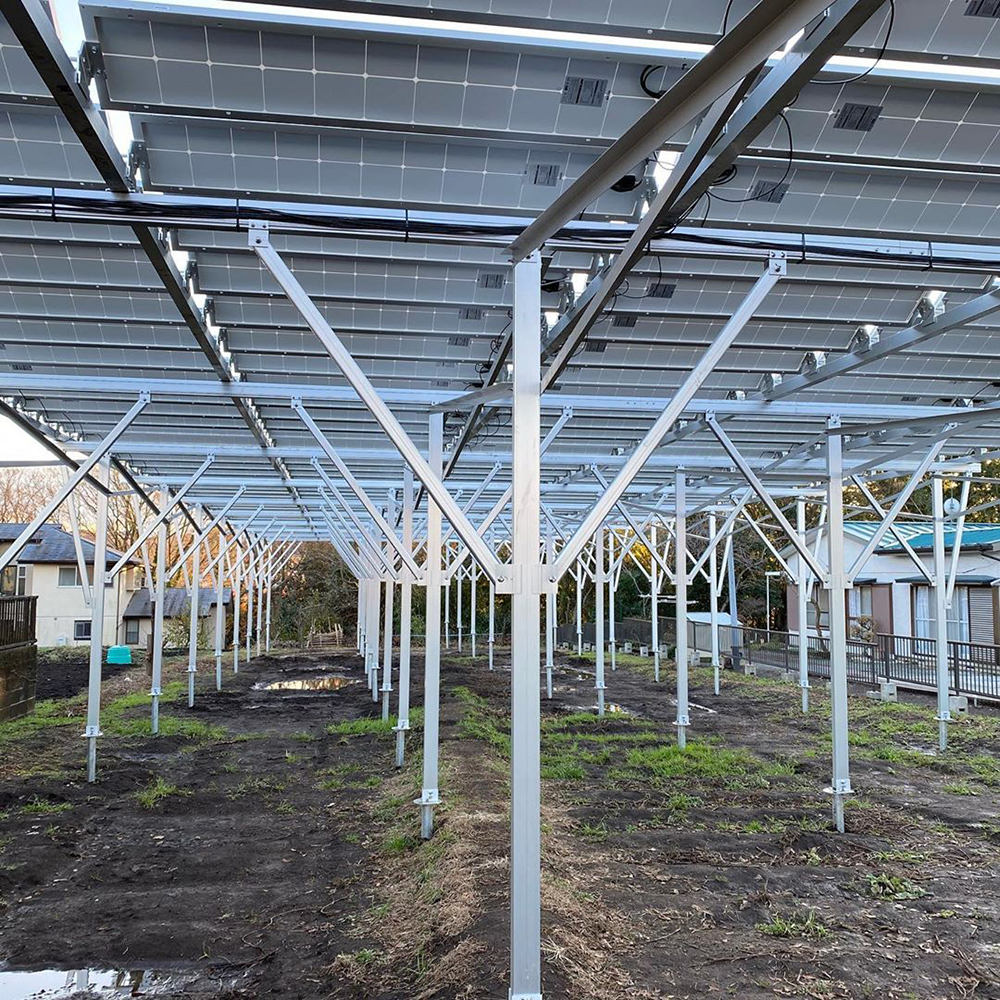 solar panels on farmland