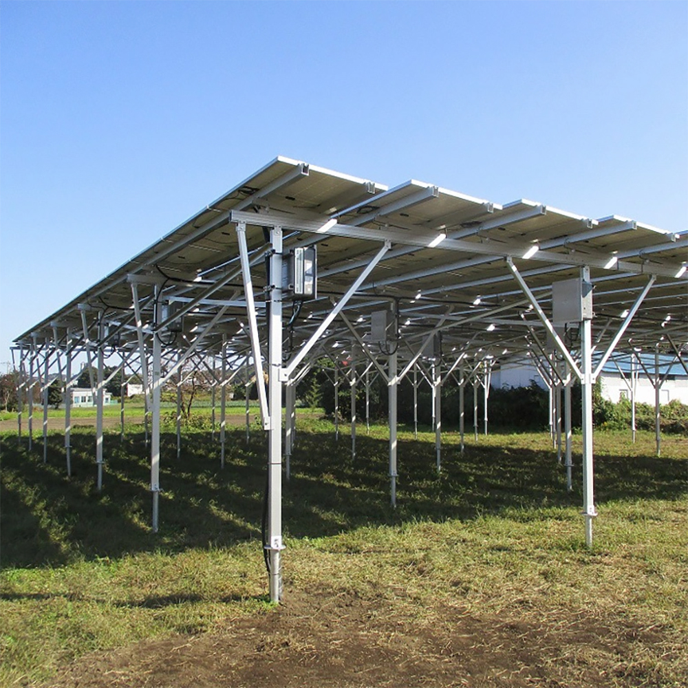 Kaufen landwirtschaftliche Solarpanel-Farmsysteme;landwirtschaftliche Solarpanel-Farmsysteme Preis;landwirtschaftliche Solarpanel-Farmsysteme Marken;landwirtschaftliche Solarpanel-Farmsysteme Hersteller;landwirtschaftliche Solarpanel-Farmsysteme Zitat;landwirtschaftliche Solarpanel-Farmsysteme Unternehmen