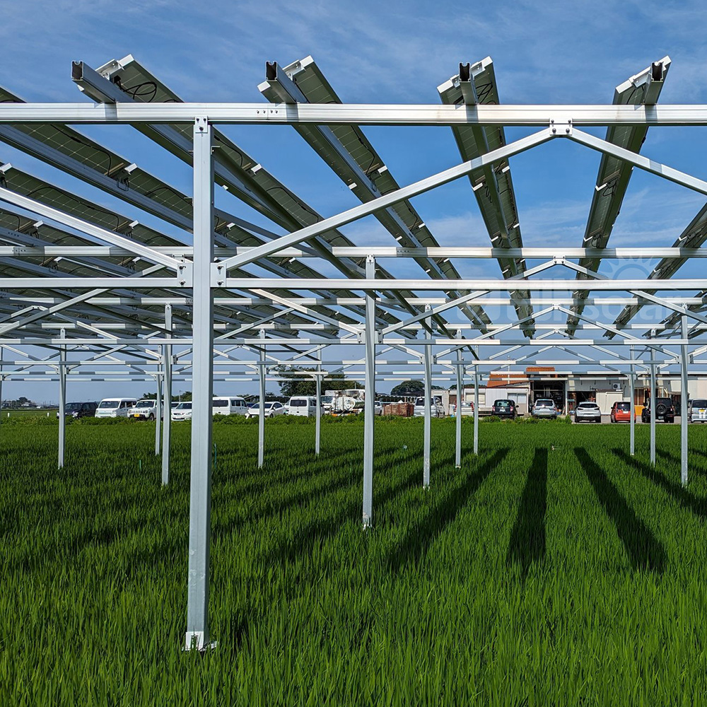 agricultural solar panel systems