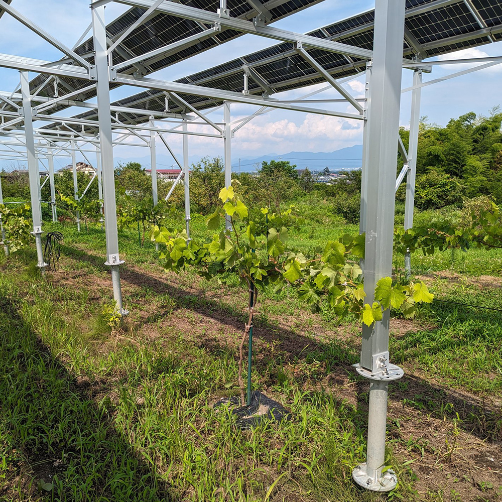 agricultural solar panel systems