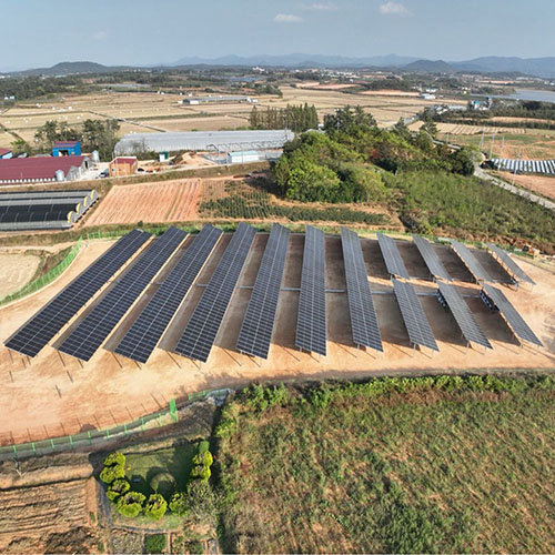 Acquista I produttori di pannelli solari per montaggio a terra forniscono un sistema di scaffalature per montaggio solare a terra da 10 kw,I produttori di pannelli solari per montaggio a terra forniscono un sistema di scaffalature per montaggio solare a terra da 10 kw prezzi,I produttori di pannelli solari per montaggio a terra forniscono un sistema di scaffalature per montaggio solare a terra da 10 kw marche,I produttori di pannelli solari per montaggio a terra forniscono un sistema di scaffalature per montaggio solare a terra da 10 kw Produttori,I produttori di pannelli solari per montaggio a terra forniscono un sistema di scaffalature per montaggio solare a terra da 10 kw Citazioni,I produttori di pannelli solari per montaggio a terra forniscono un sistema di scaffalature per montaggio solare a terra da 10 kw  l'azienda,