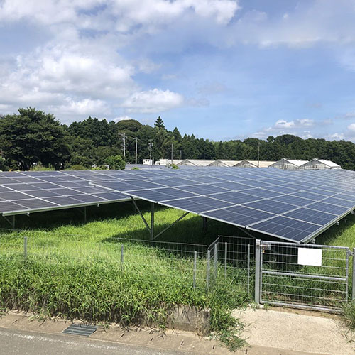 Acquista Fondazioni di sistemi di energia solare montati a terra per sistemi di scaffalature solari,Fondazioni di sistemi di energia solare montati a terra per sistemi di scaffalature solari prezzi,Fondazioni di sistemi di energia solare montati a terra per sistemi di scaffalature solari marche,Fondazioni di sistemi di energia solare montati a terra per sistemi di scaffalature solari Produttori,Fondazioni di sistemi di energia solare montati a terra per sistemi di scaffalature solari Citazioni,Fondazioni di sistemi di energia solare montati a terra per sistemi di scaffalature solari  l'azienda,