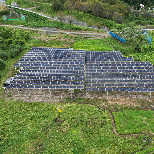 Comprar Sistema solar agrícola de ângulo ajustável,Sistema solar agrícola de ângulo ajustável Preço,Sistema solar agrícola de ângulo ajustável   Marcas,Sistema solar agrícola de ângulo ajustável Fabricante,Sistema solar agrícola de ângulo ajustável Mercado,Sistema solar agrícola de ângulo ajustável Companhia,