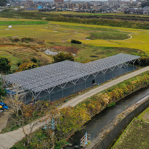 Kaufen 1 MW 30 kW Landwirtschaftsenergieprodukte PV-Systemhalterung Solarfarmsystem für bodenmontierte Farm-Solarregalsysteme;1 MW 30 kW Landwirtschaftsenergieprodukte PV-Systemhalterung Solarfarmsystem für bodenmontierte Farm-Solarregalsysteme Preis;1 MW 30 kW Landwirtschaftsenergieprodukte PV-Systemhalterung Solarfarmsystem für bodenmontierte Farm-Solarregalsysteme Marken;1 MW 30 kW Landwirtschaftsenergieprodukte PV-Systemhalterung Solarfarmsystem für bodenmontierte Farm-Solarregalsysteme Hersteller;1 MW 30 kW Landwirtschaftsenergieprodukte PV-Systemhalterung Solarfarmsystem für bodenmontierte Farm-Solarregalsysteme Zitat;1 MW 30 kW Landwirtschaftsenergieprodukte PV-Systemhalterung Solarfarmsystem für bodenmontierte Farm-Solarregalsysteme Unternehmen