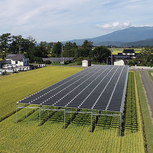 Acquista 1mw 30kw prodotti energetici agricoli staffa sistema fotovoltaico sistema fattoria solare per montaggio a terra sistemi di montaggio solare fattoria,1mw 30kw prodotti energetici agricoli staffa sistema fotovoltaico sistema fattoria solare per montaggio a terra sistemi di montaggio solare fattoria prezzi,1mw 30kw prodotti energetici agricoli staffa sistema fotovoltaico sistema fattoria solare per montaggio a terra sistemi di montaggio solare fattoria marche,1mw 30kw prodotti energetici agricoli staffa sistema fotovoltaico sistema fattoria solare per montaggio a terra sistemi di montaggio solare fattoria Produttori,1mw 30kw prodotti energetici agricoli staffa sistema fotovoltaico sistema fattoria solare per montaggio a terra sistemi di montaggio solare fattoria Citazioni,1mw 30kw prodotti energetici agricoli staffa sistema fotovoltaico sistema fattoria solare per montaggio a terra sistemi di montaggio solare fattoria  l'azienda,