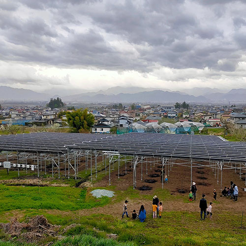 Comprar sistemas agrícolas de paneles solares, sistemas agrícolas de paneles solares Precios, sistemas agrícolas de paneles solares Marcas, sistemas agrícolas de paneles solares Fabricante, sistemas agrícolas de paneles solares Citas, sistemas agrícolas de paneles solares Empresa.