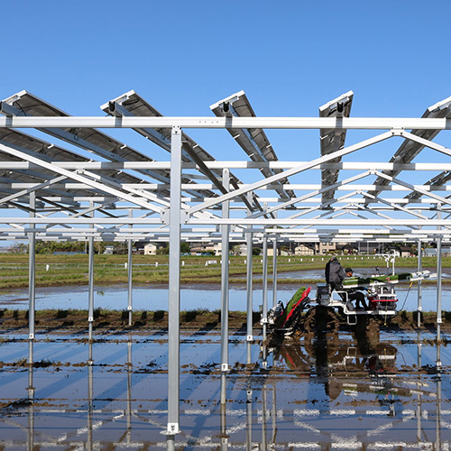 Kostengünstige Installation für den Bau eines Solarparks