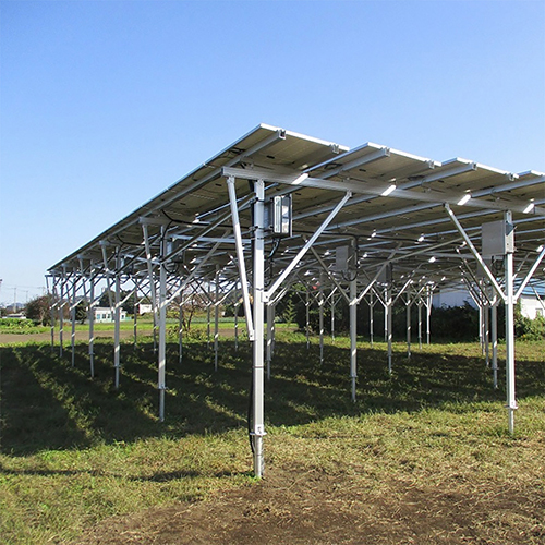 photovoltaic solar agriculture farm mounting system