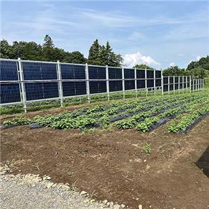 Paneles solares bifaciales verticales galvanizados montados en el suelo