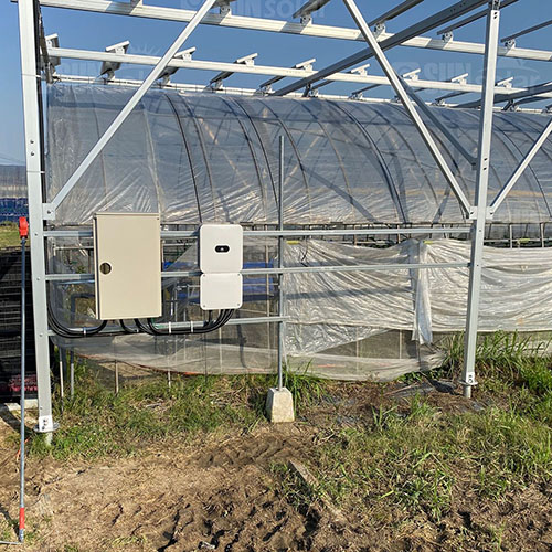 Kaufen 1 MW 30 kW Landwirtschaftsenergieprodukte PV-Systemhalterung Solarfarmsystem für bodenmontierte Farm-Solarregalsysteme;1 MW 30 kW Landwirtschaftsenergieprodukte PV-Systemhalterung Solarfarmsystem für bodenmontierte Farm-Solarregalsysteme Preis;1 MW 30 kW Landwirtschaftsenergieprodukte PV-Systemhalterung Solarfarmsystem für bodenmontierte Farm-Solarregalsysteme Marken;1 MW 30 kW Landwirtschaftsenergieprodukte PV-Systemhalterung Solarfarmsystem für bodenmontierte Farm-Solarregalsysteme Hersteller;1 MW 30 kW Landwirtschaftsenergieprodukte PV-Systemhalterung Solarfarmsystem für bodenmontierte Farm-Solarregalsysteme Zitat;1 MW 30 kW Landwirtschaftsenergieprodukte PV-Systemhalterung Solarfarmsystem für bodenmontierte Farm-Solarregalsysteme Unternehmen