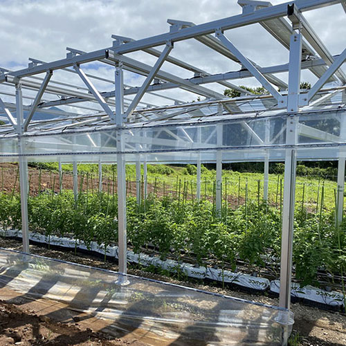 solar for agriculture