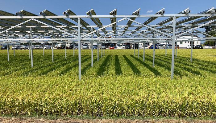 9Sunsolar farm mounting case