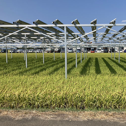 How to Maximize Profit from Agricultural Solar Mounting Systems – A 2026 ROI Guide