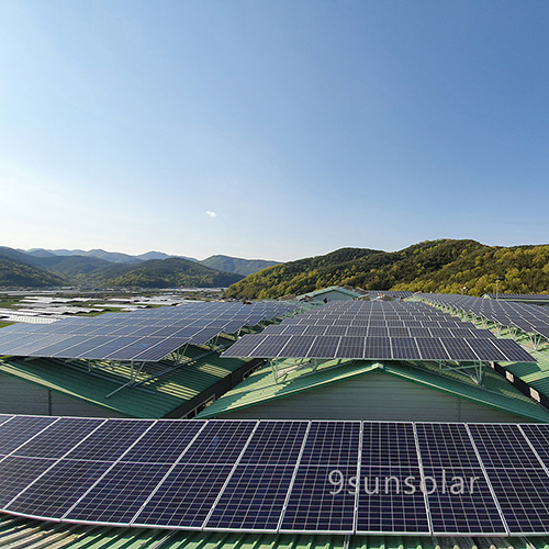 شركة 9Sunsolar للطاقة الجديدة تفوز بمشروع طاقة شمسية على أسطح المنازل بقدرة 3 ميغاواط في كوريا