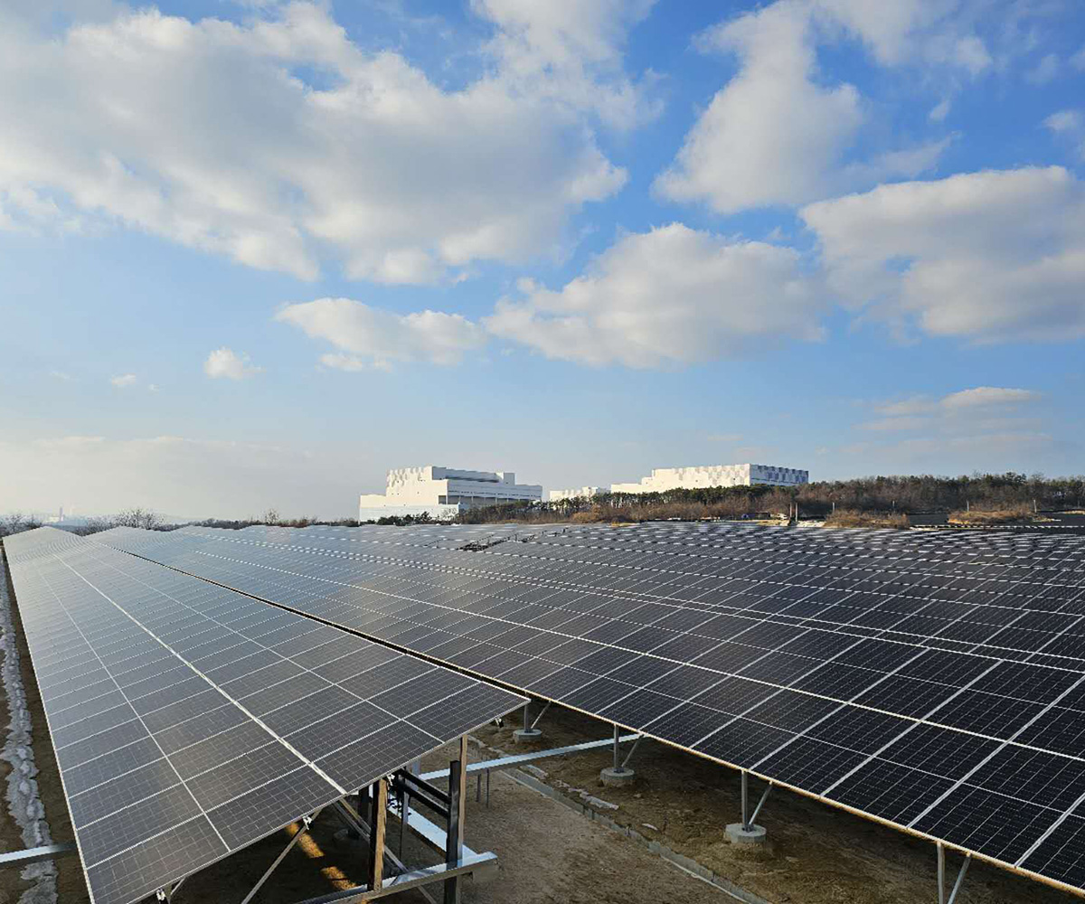 Vergleich der Fundamente für bodenmontierte Solaranlagen: Schrauben, Pfähle oder Ballast?