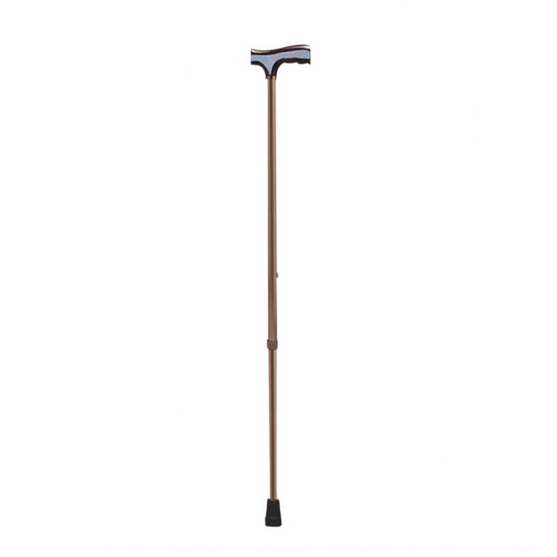 Long Walking Stick