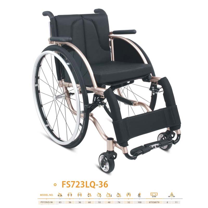Pang-adultong Leisure Wheelchair