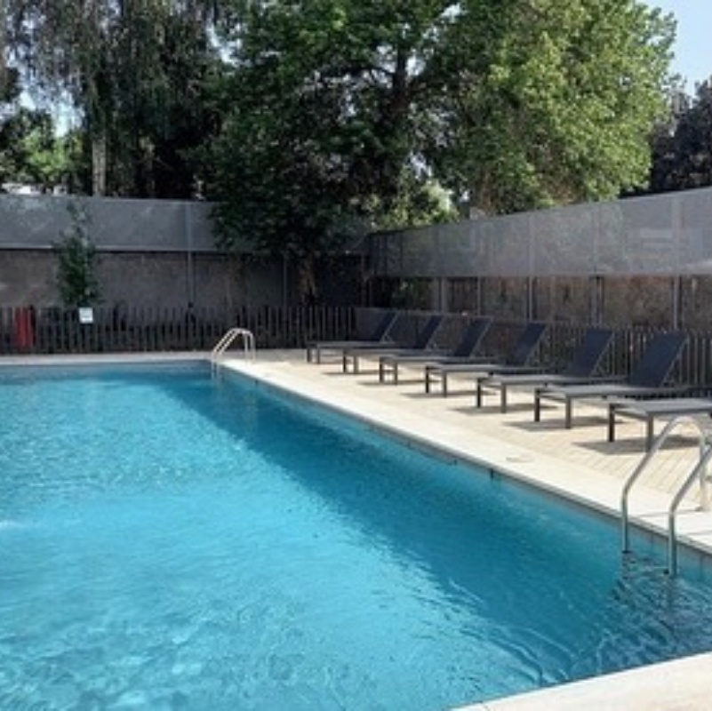 When you have a backyard