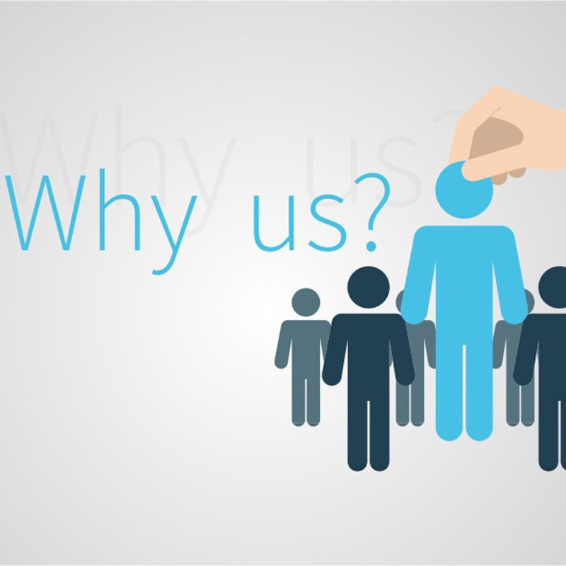 Why Choose Foshan Darwin Furniture