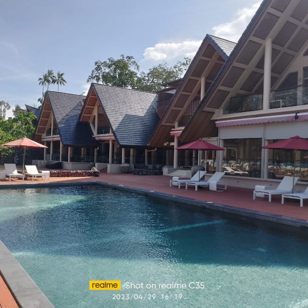 Backyard Pool Furniture Ideas for Your Dream Oasis