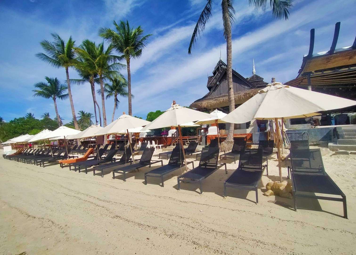 Outdoor sun lounge chairs