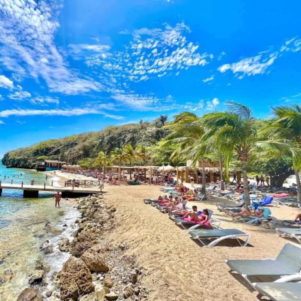 The ideal partner for beach rental