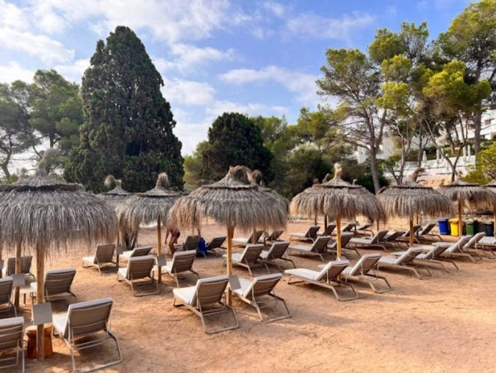 Outdoor Furniture
