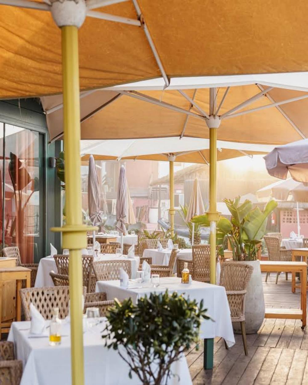 Foshan Darwin Furniture