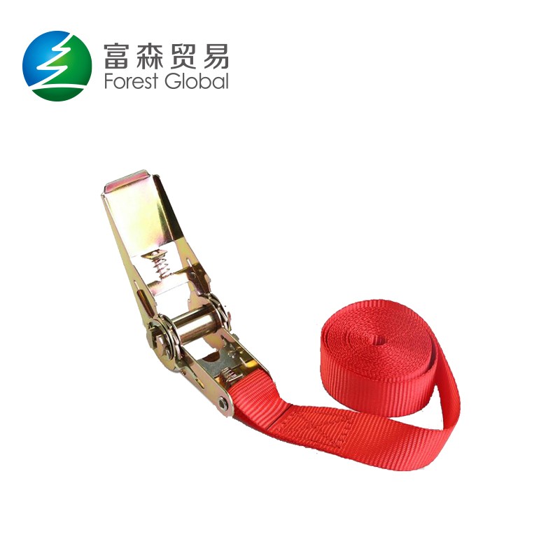 5M Long Endless Loop Ratchet Lashing Safety Strap For Fasten Cargo Tie