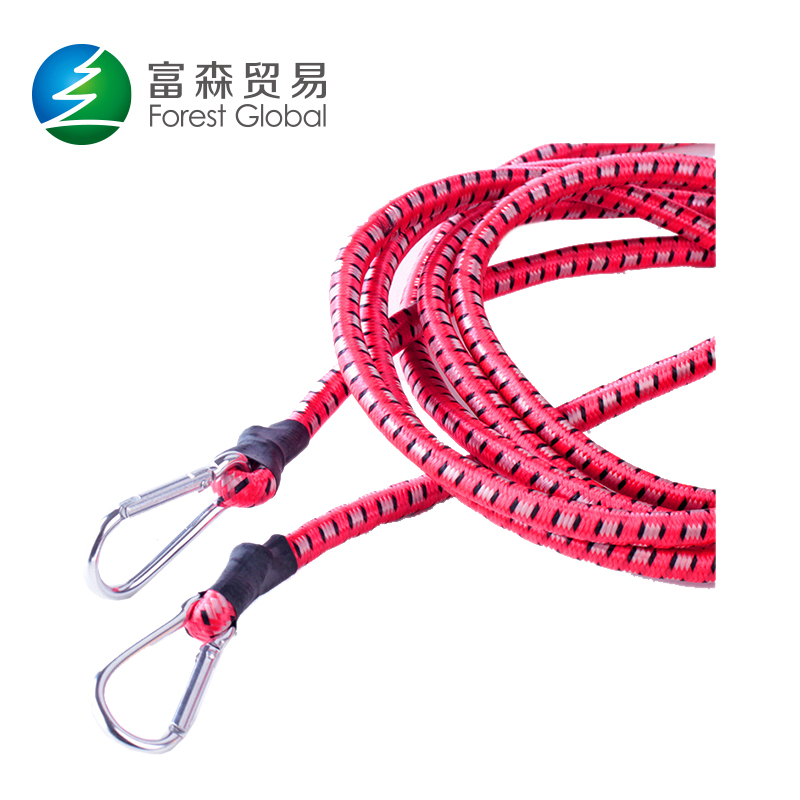 Bungee Cord with Carabiner